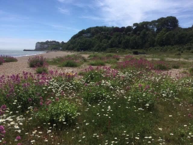 Mariner'S Cottage - On Kingsdown Beach Deal Bagian luar foto
