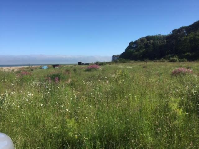 Mariner'S Cottage - On Kingsdown Beach Deal Bagian luar foto