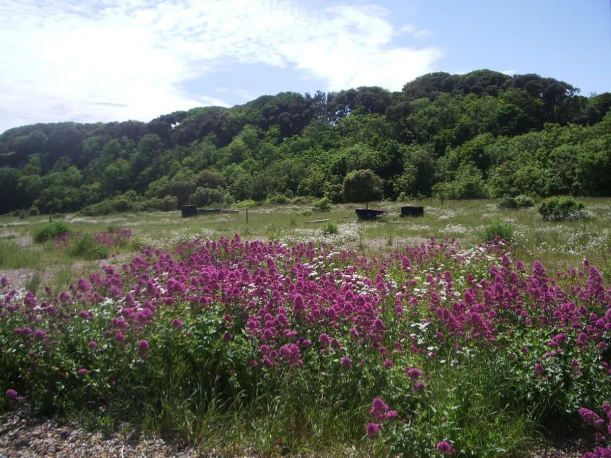 Mariner'S Cottage - On Kingsdown Beach Deal Bagian luar foto